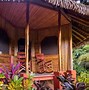 Image result for Yoga Retreat Costa Rica