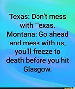 Image result for Don't Mess with Texas Sticker