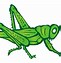 Image result for Grasshopper Cartoon