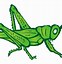 Image result for Cute Cartoon Grasshopper