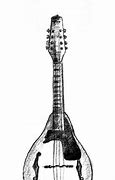 Image result for Simple Mandolin Drawing