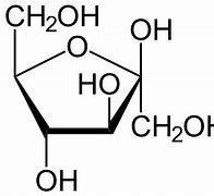 Image result for Fructose Malabsorption