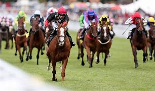 Image result for Goodwood Racing Hibino