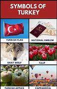 Image result for Turkey Country Symbol