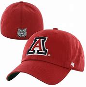Image result for University of Arizona Hats