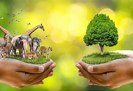 Image result for Local People of Forest and Wildlife