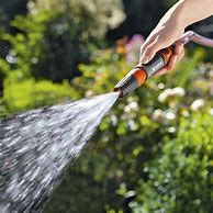 Image result for Gardena Spray Nozzle