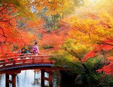 Image result for Japan Autumn Season