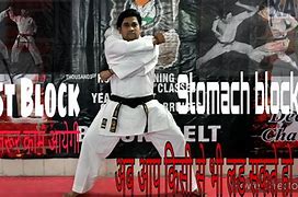 Image result for Karate Blocks Shito Rio