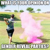 Image result for Gender Reveal Party Meme