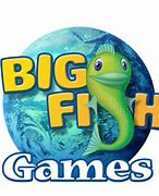 Image result for Big Fish Games for Kindle Fire