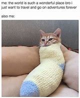 Image result for Meme Comfy and Cozy