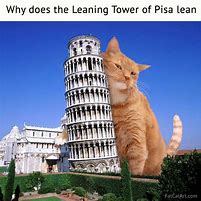 Image result for Tower Cat Meme