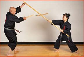 Image result for Martial Arts Kobudo