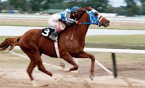 Image result for The Real Secretariat
