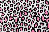 Image result for Purple Cheetah Print