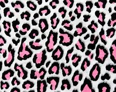 Image result for Big Cheetah Print Pattern