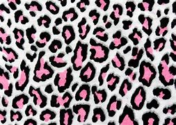 Image result for Cheetah Blue Leopard Print Background