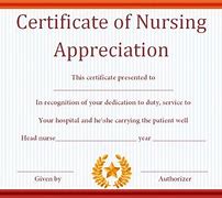 Image result for Nursing Certificate