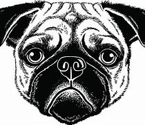 Image result for Pug Face Art