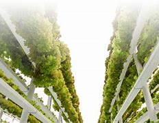 Image result for Alberta Vertical Farms in Andrew