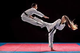 Image result for Best Form of Martial Arts