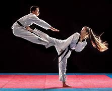 Image result for New World Martial Arts