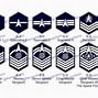 Image result for U.S. Space Force Military Rank