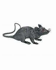 Image result for Rat Spirit Halloween