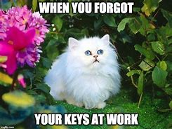 Image result for Forgot Keys Meme