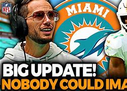 Image result for Miami Dolphins New Logo
