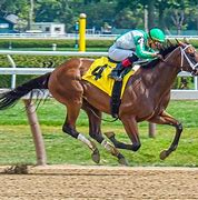 Image result for Race Horse 8