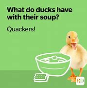 Image result for Duck Puns