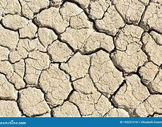 Image result for Cracked Mud Texture