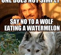 Image result for Wolf Watermelon Meme