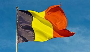 Image result for Belgium Flag