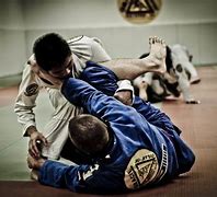 Image result for Brazilian Jiu Jitsu Self-Defense