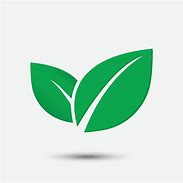 Image result for Six Leaf Icon