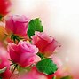 Image result for Pastel Flower Wallpaper HD