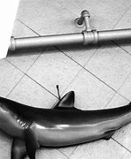 Image result for Flexible PVC Pipe Shark