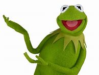 Image result for Kermit the Frog Face Closeup