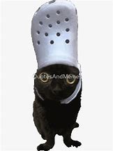 Image result for Meme Red Bubble Stickers Croc Cat