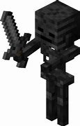 Image result for A Wither Skeleton