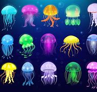 Image result for Jellyfish Vector