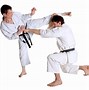 Image result for Karate Kick Fegurine