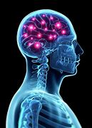 Image result for Human Brain Activity