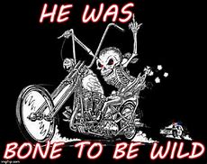 Image result for Biker Skeleton Meme
