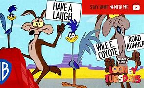 Image result for Road Runner X Coyote