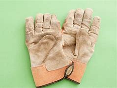 Image result for Garden Gloves White Background