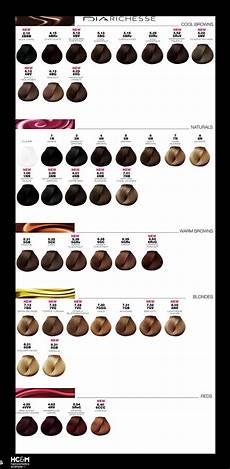 L Or 233 Al Professionnel Dia Richesse Color Chart August